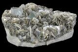 Aquamarine Crystals On Muscovite With Fluorite - Pakistan #170749-2